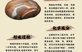 谁知道里的再生原石有什么用吗怎么才能再生宝石